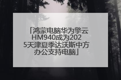 鸿蒙电脑华为擎云 HM940成为2025天津夏季达沃斯中方办公支持电脑